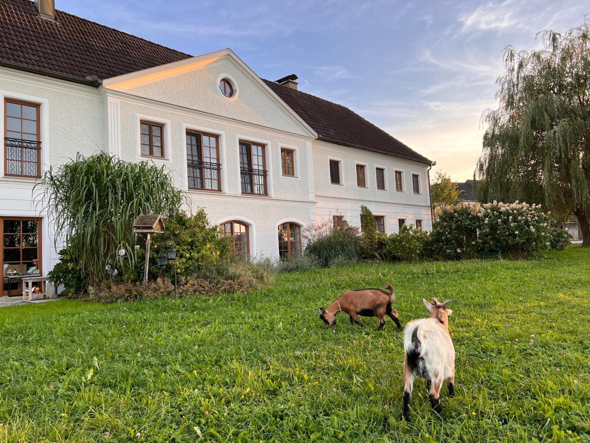 Allhartsberg Landhaus Aigner מראה חיצוני תמונה